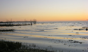 Investment in Integrated Catchment Management Promotes Sustainable Estuaries